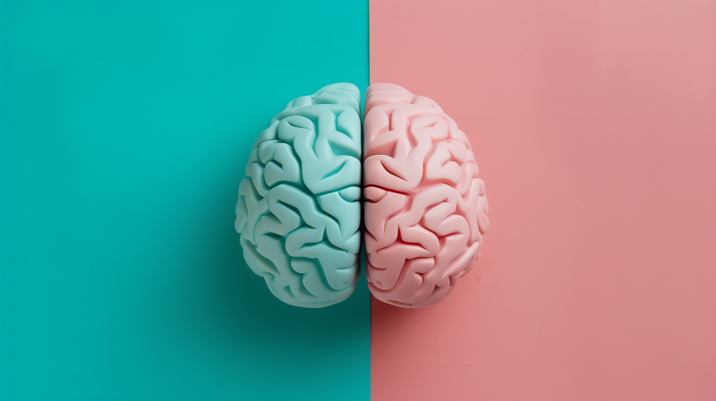 A conceptual image of a human brain split in two halves with one half colored blue and the other pink, set against a split background of matching colors.