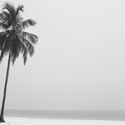 A black and white image of a solitary palm tree on a tranquil beach with a clear horizon.